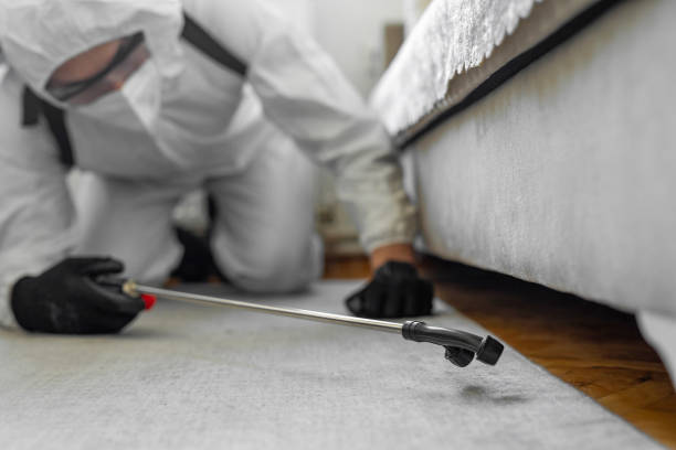Professional Termite Control technician working in Rogersville, MO